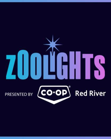 Zoo Lights